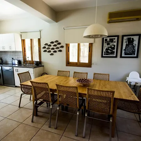 Large Luxury Private Sea View With Pool Villa Makounta