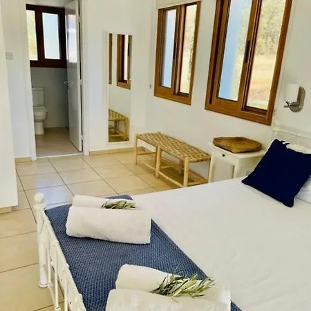 Large Luxury Private Sea View With Pool *